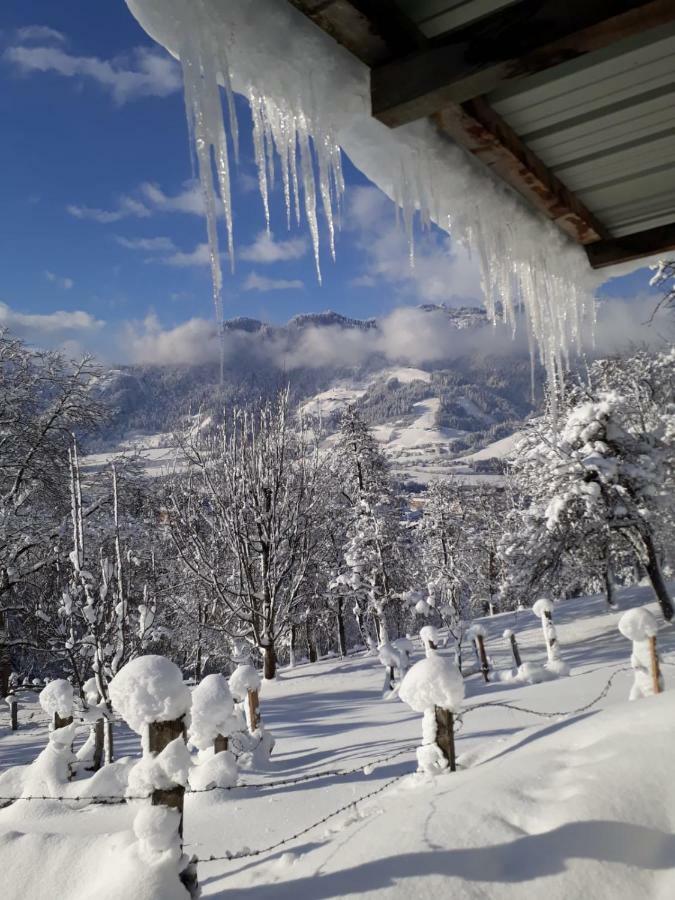 Appartements Lehenhof Sankt Johann im Pongau Bagian luar foto
